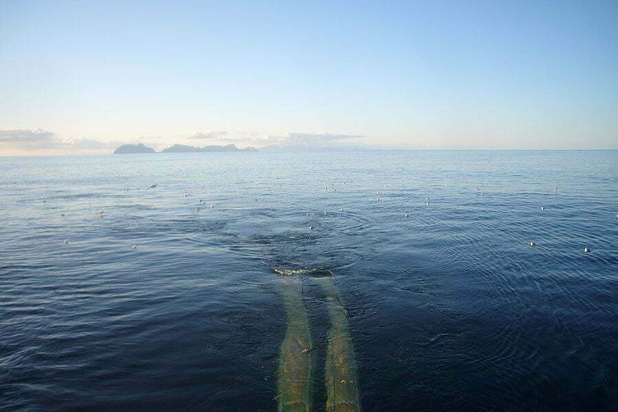 Zooca Original en bærekraftig kilde til omega-3. Bilde av trålpose under havoverflaten.