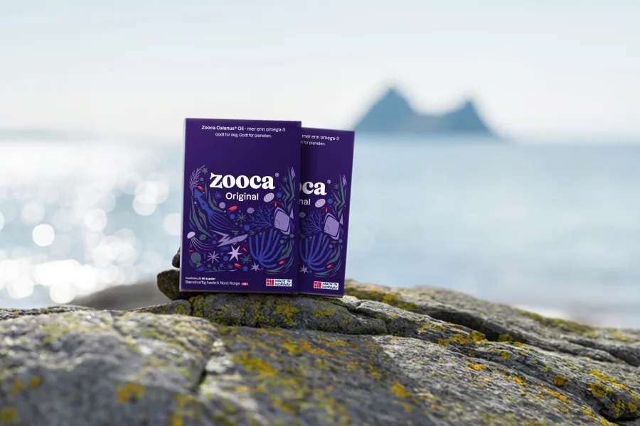 Zooca® Original er et godt alternativ til tran. 2 pakker med Zooca Original på berget i fjæra mot havet.
