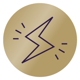 Zooca Sport - Godt for energinivået. Sirkelformet ikon med bakgrunnsfarge i gull og tegning av et lyn som blinker og skal illustrere energi.