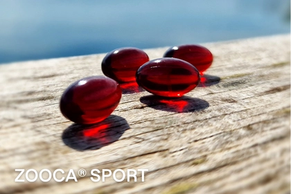 4 kapsler på bryggekanten